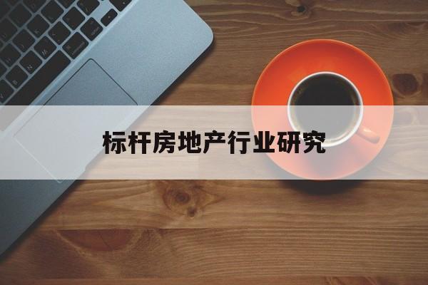 新北市标杆房地产行业研究(房地产领域的标杆人物)