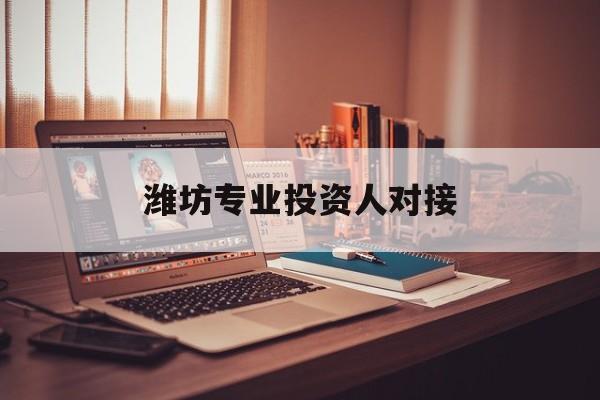 新北市潍坊专业投资人对接(潍坊专业投资人对接中心)