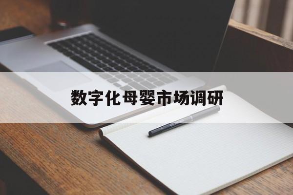 新北市数字化母婴市场调研(数字化母婴市场调研报告)