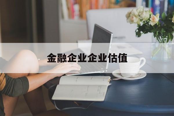 新北市金融企业企业估值(最新企业估值怎么填)